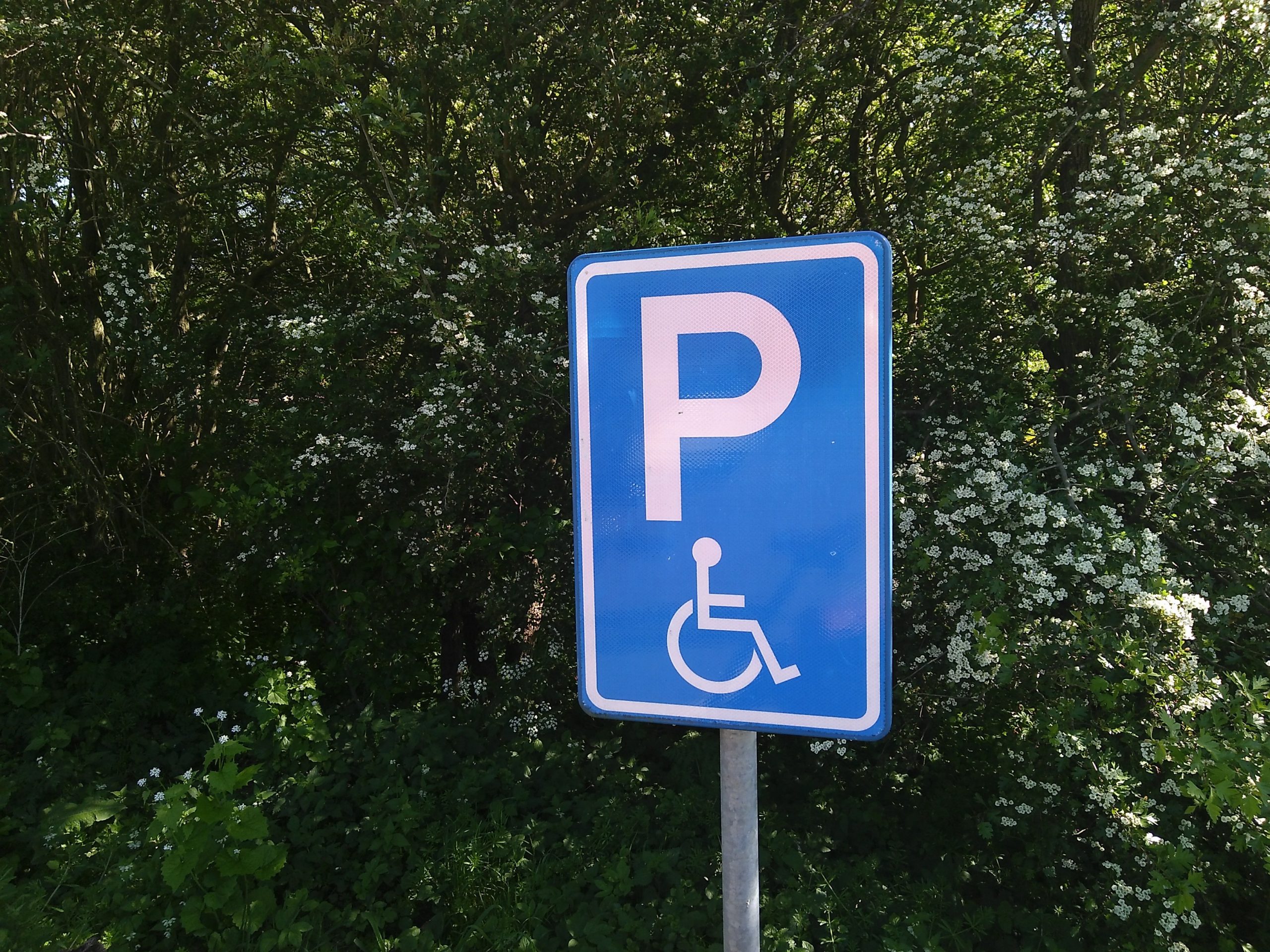 verkeersbord voor parkeerplaats voor mensen met handicap