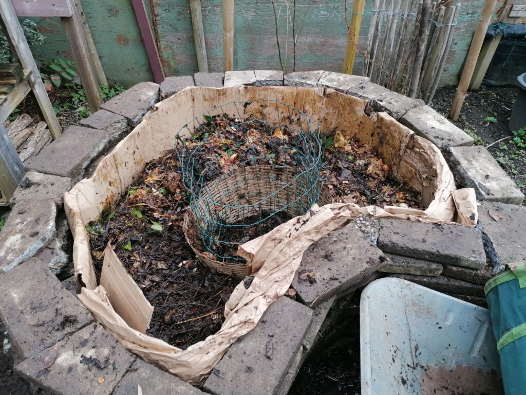 basket in the middle raised, more compost added.